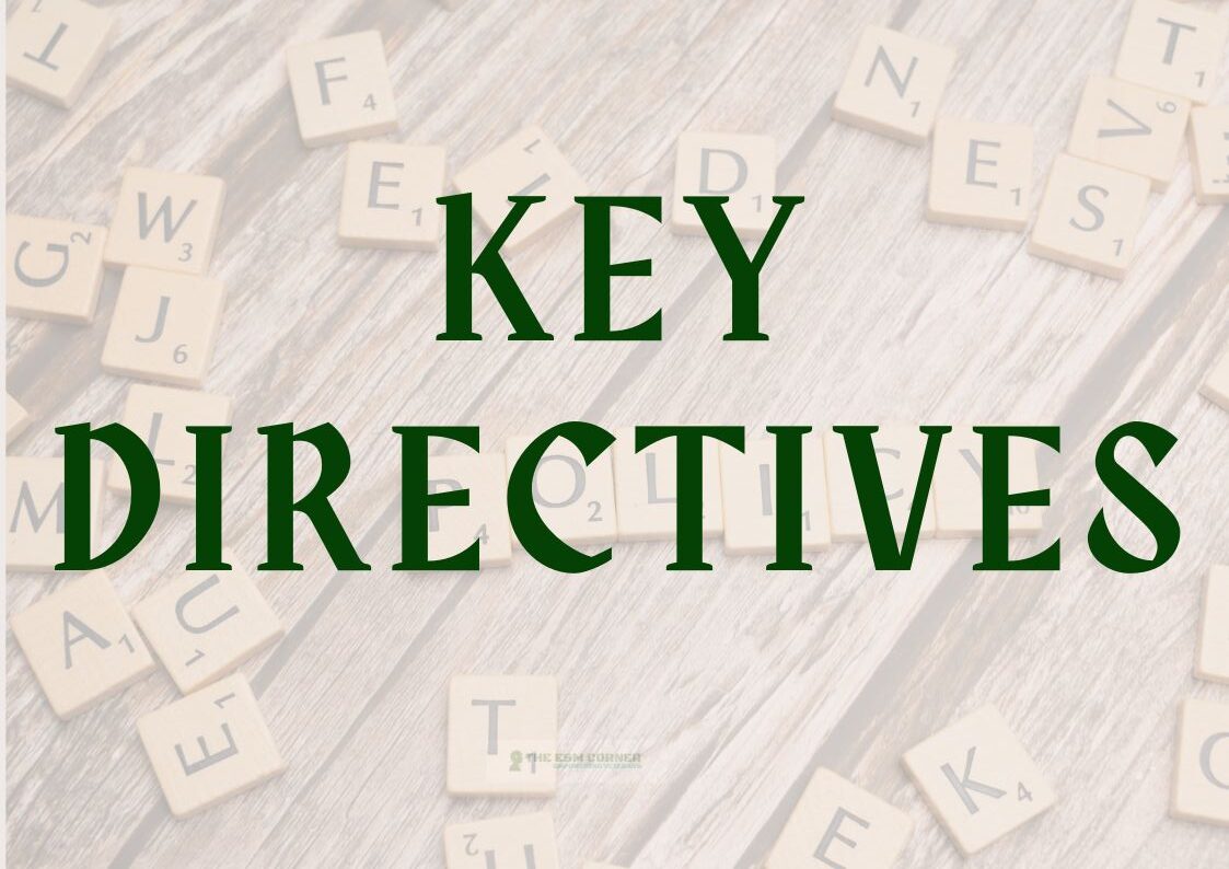 ESM-CORNER-KEY-DIRECTIVES