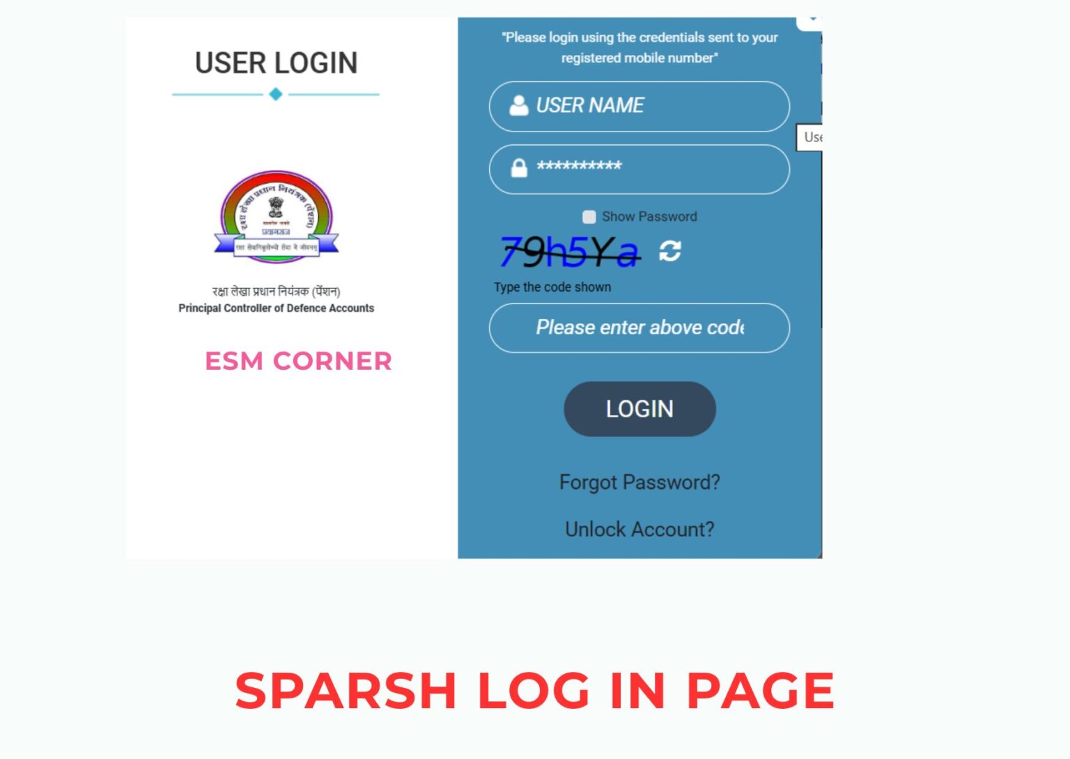 SPARSH Defence Pension Portal: 9 steps Complete User Guide