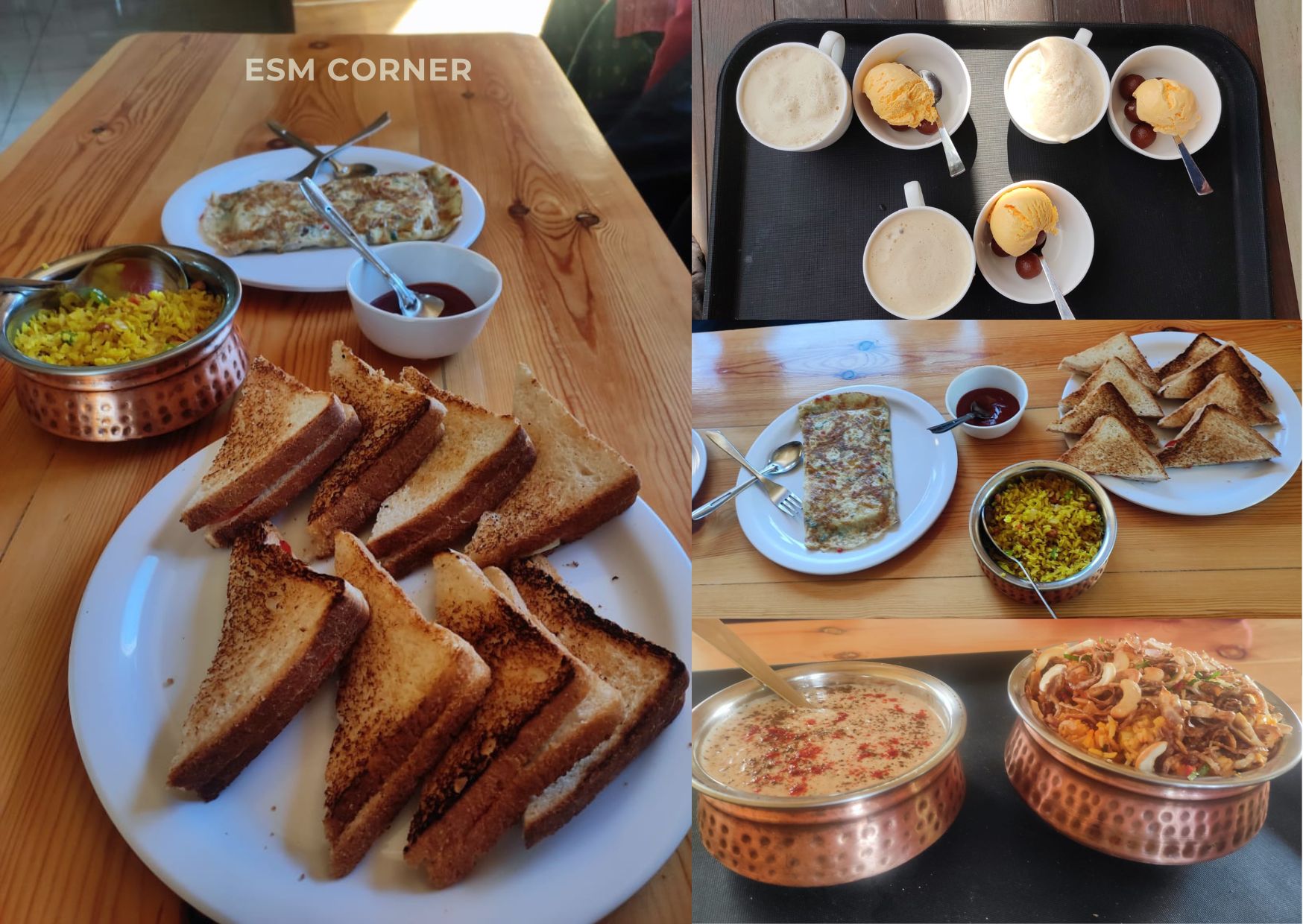 esm-corner-veteran-house-manali