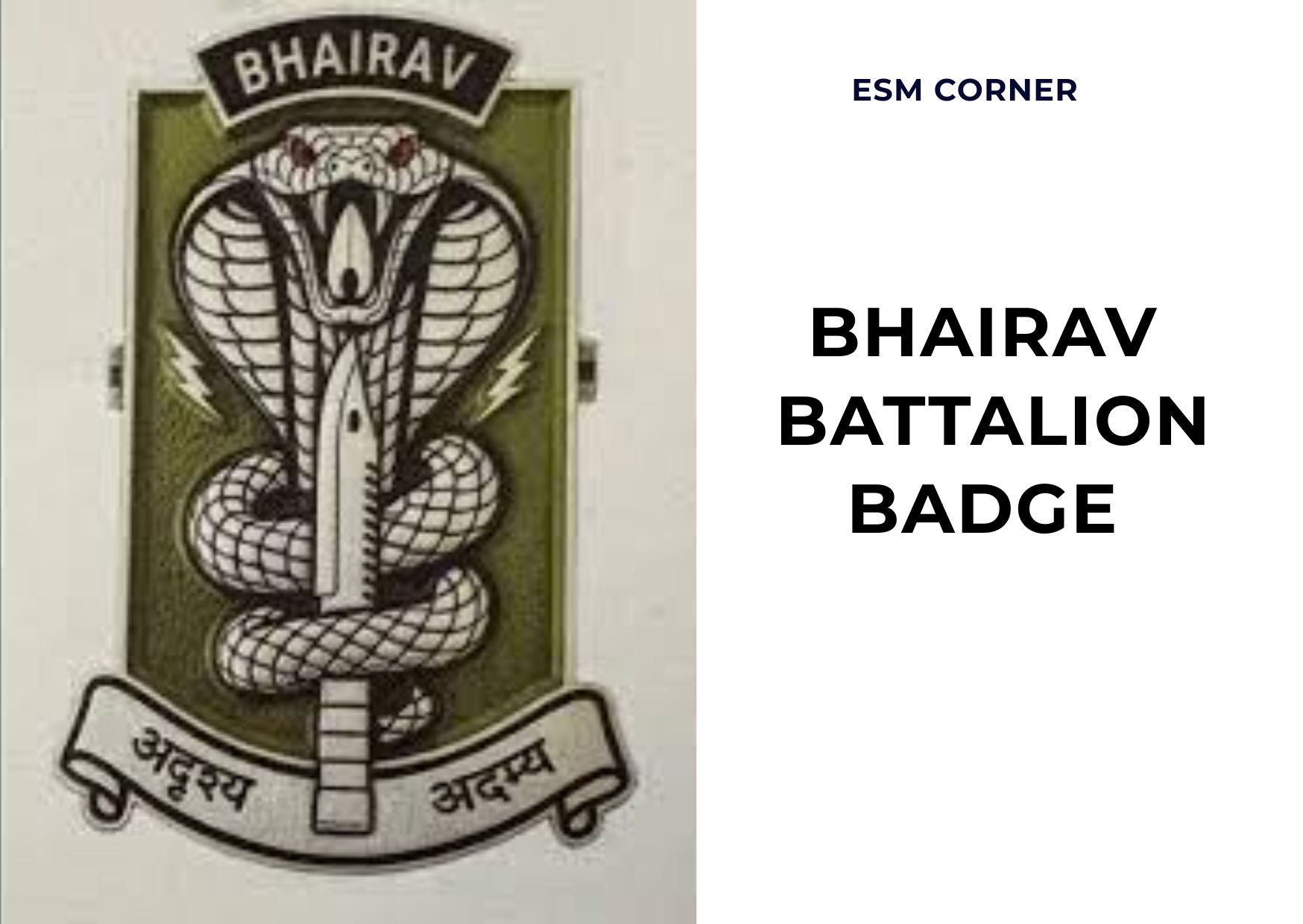esm corner BHAIRAV BATTALION badge